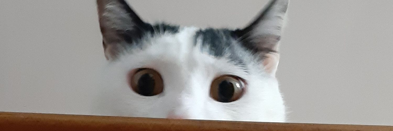 LeebexFerrary's profile banner image