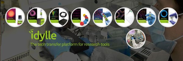 IdylleLabs Profile Banner