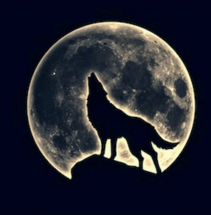 MasterKnightXO's profile banner image