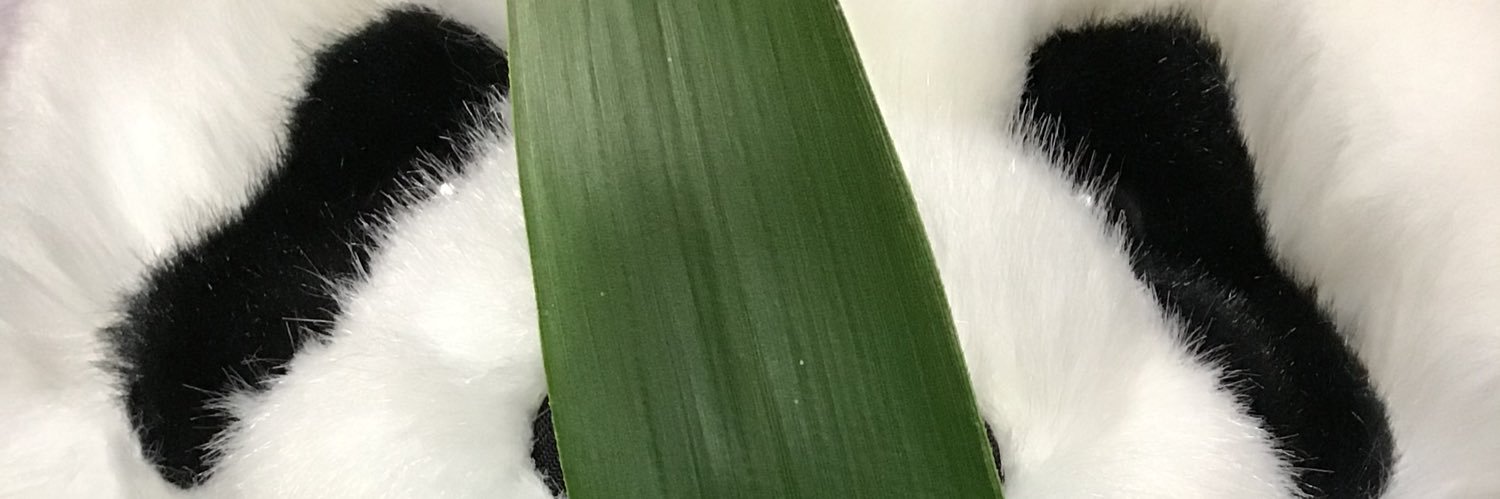 もっさん's banner