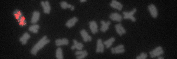 CesarMartins_CM Profile Banner