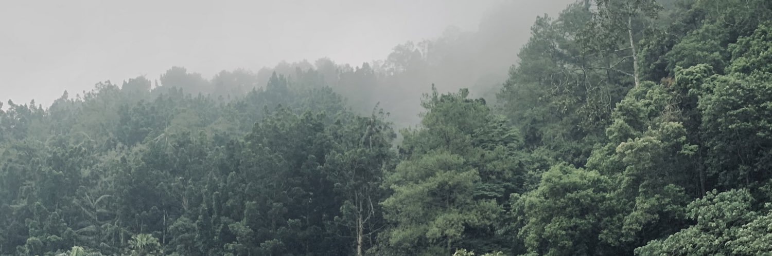 akusireen's profile banner image