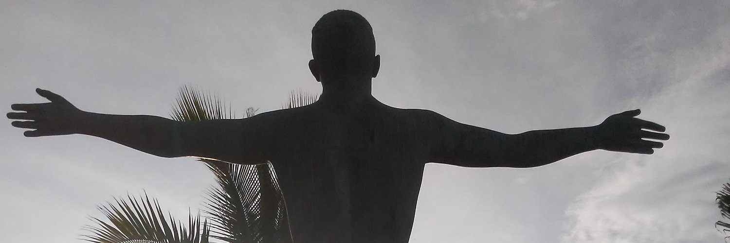 sandra odonnell banner