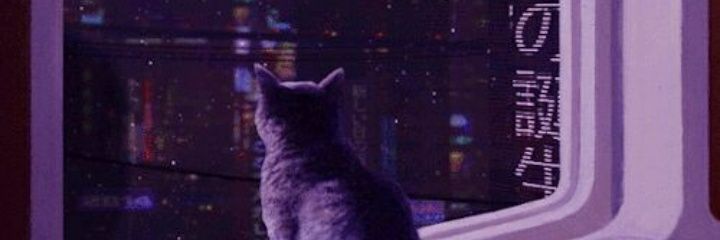 Tabitha28830469's profile banner image