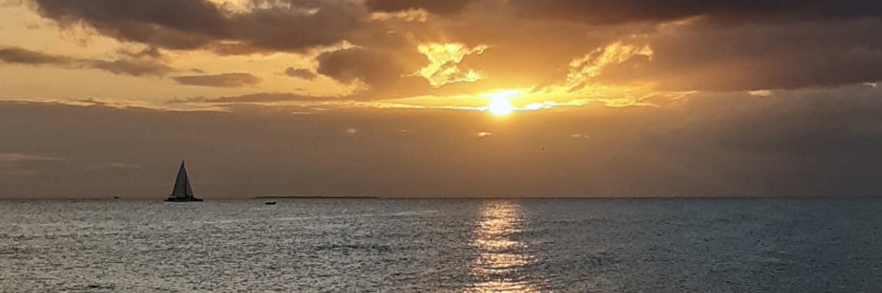 evelach's profile banner image