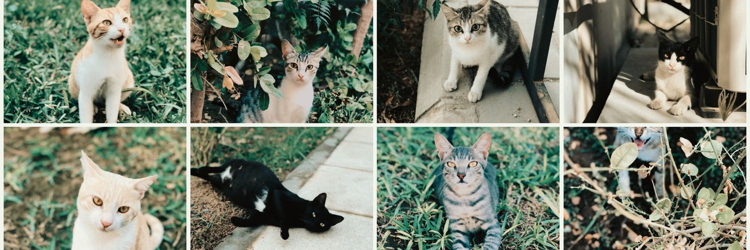 كبد رطبة🐾 banner