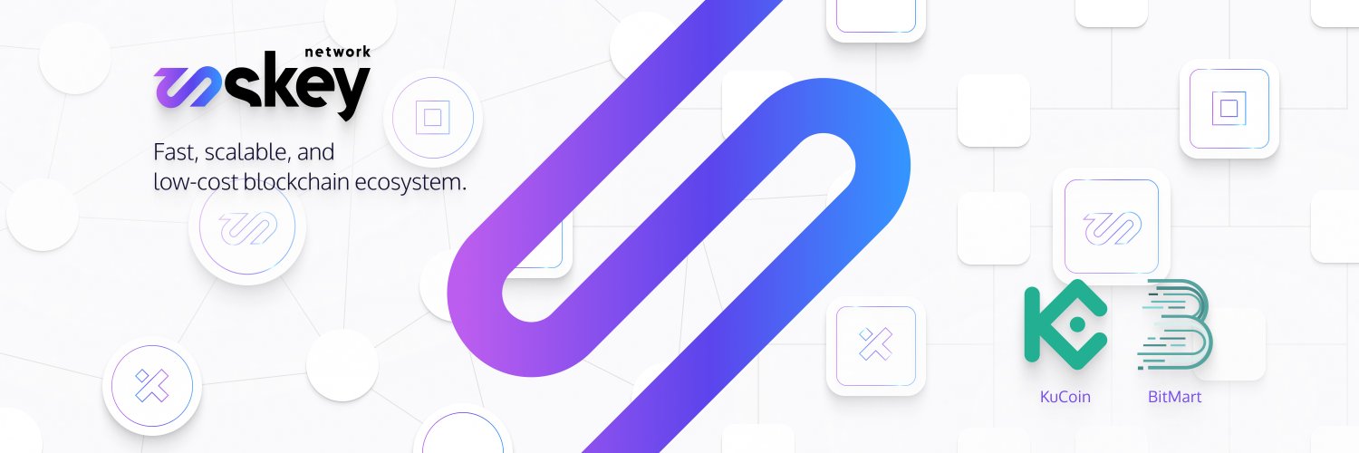 Skey Network banner