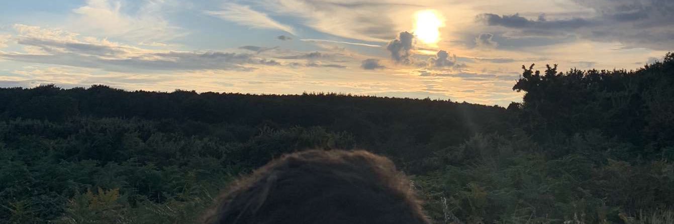KyleKenney99's profile banner image