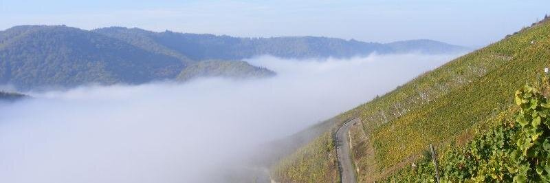 Axel Huizinga banner