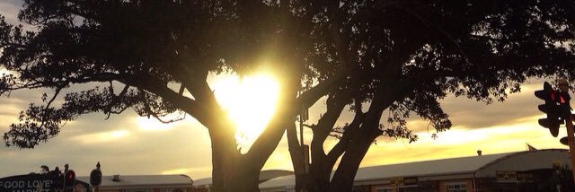 Rejaun's profile banner image