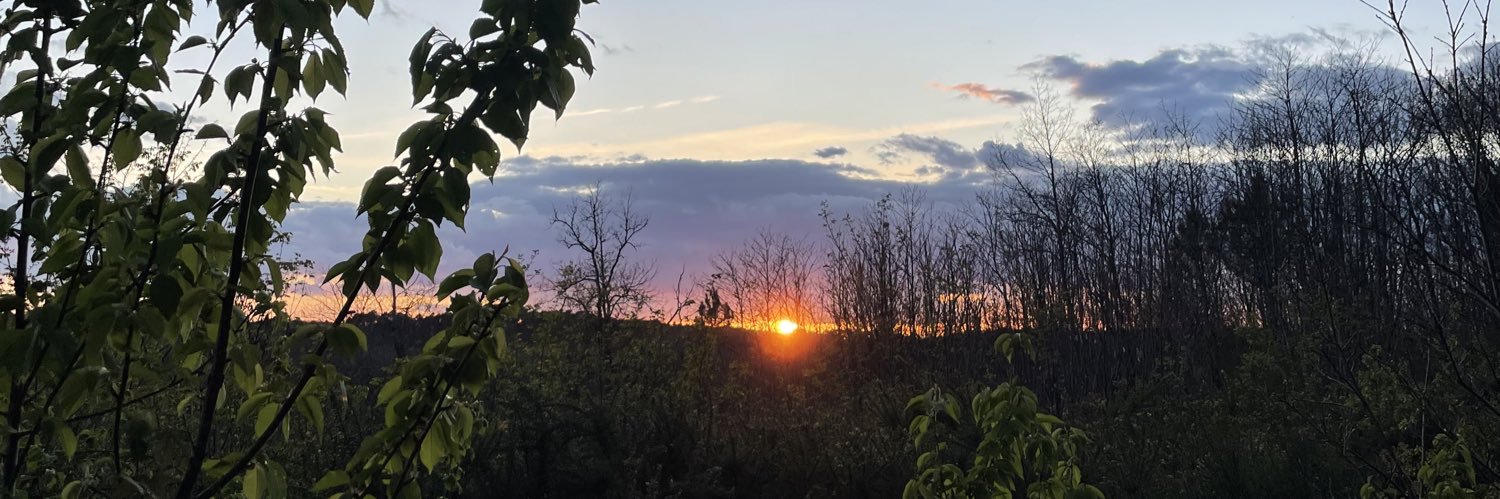 anne777_'s profile banner image