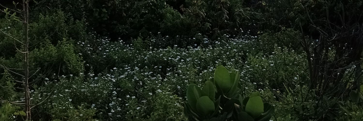 EricaRJBrasil's profile banner image