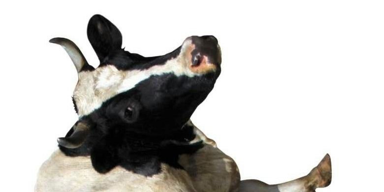 afonkinpeter's profile banner image