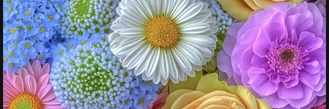 MEzzat81's profile banner image