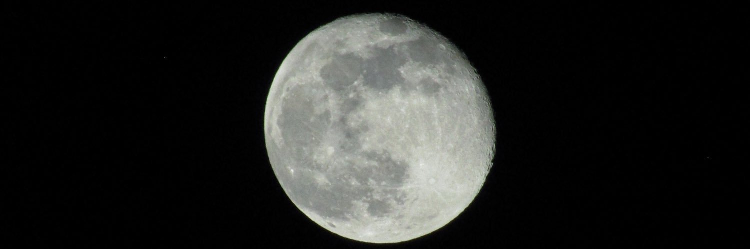 ines_mln_'s profile banner image