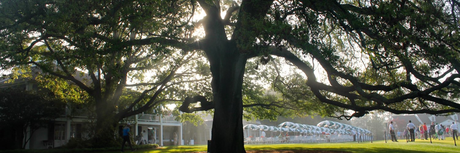 Brian Giuffra banner