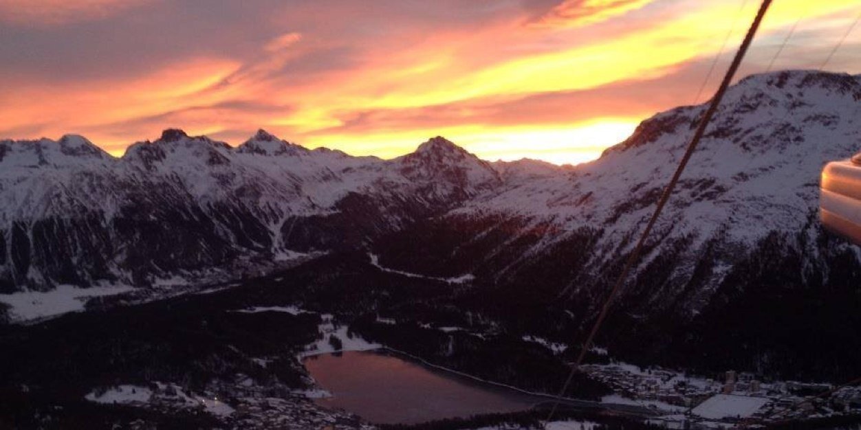 Elisabeth Honegger banner