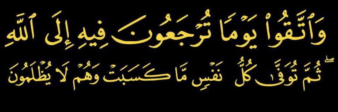 Waleed Ibrahim وليد ابراهيم banner