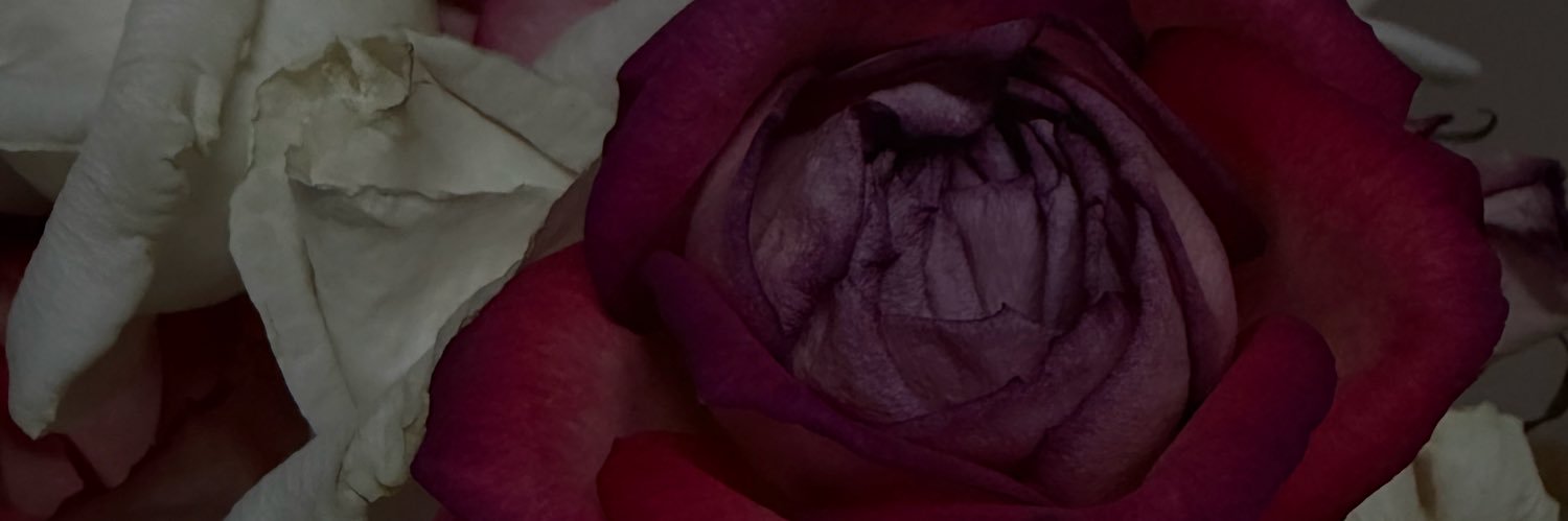 ℑess ♊️ banner