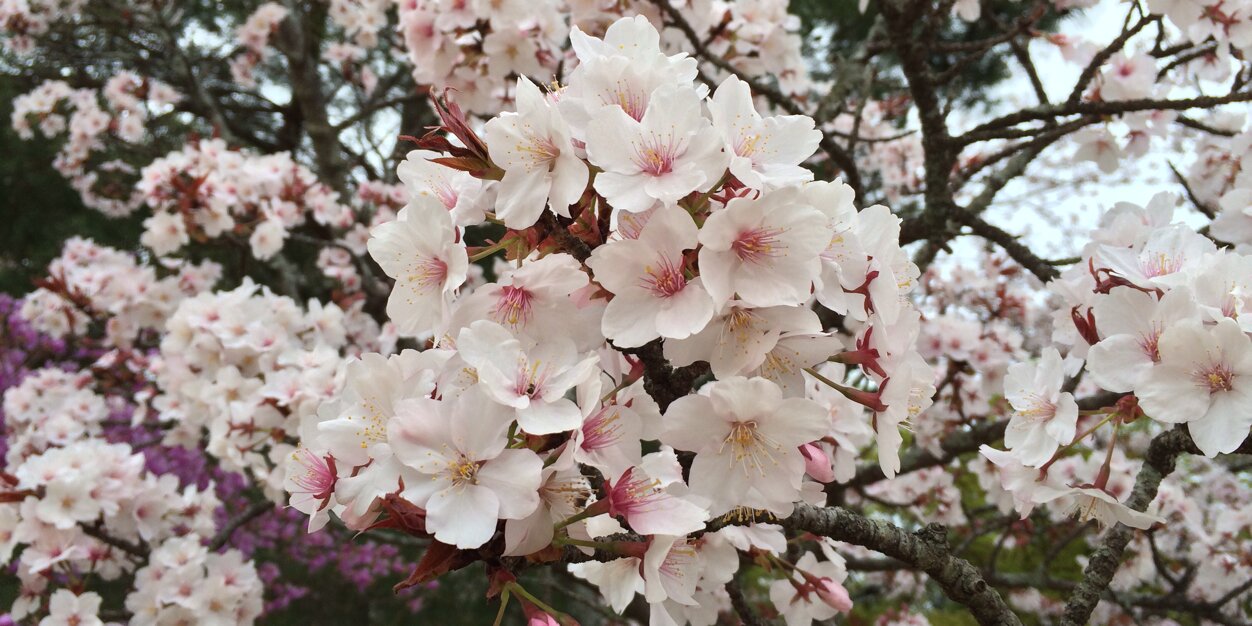 mio_13's profile banner image