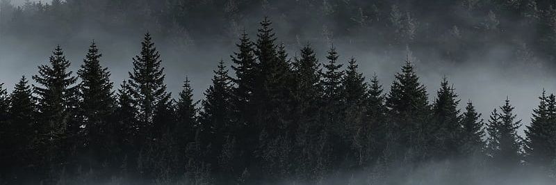 pornerda's profile banner image