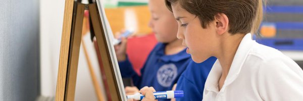 HCSBluehawks Profile Banner