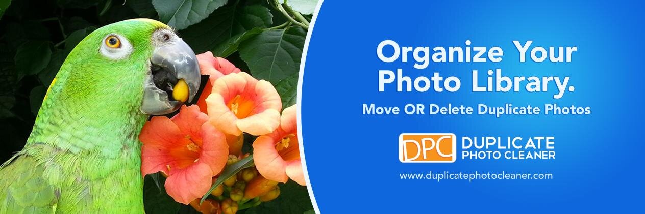 SimilarPhotos's profile banner image