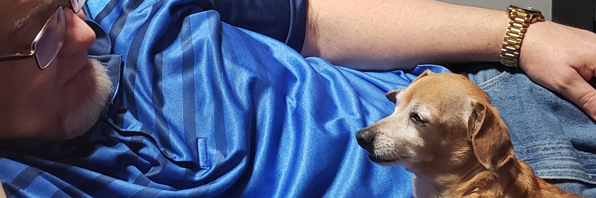 Charles Reeves banner