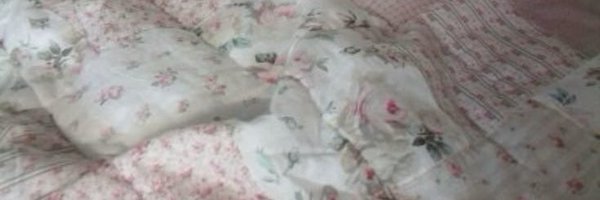 ana__heidi Profile Banner