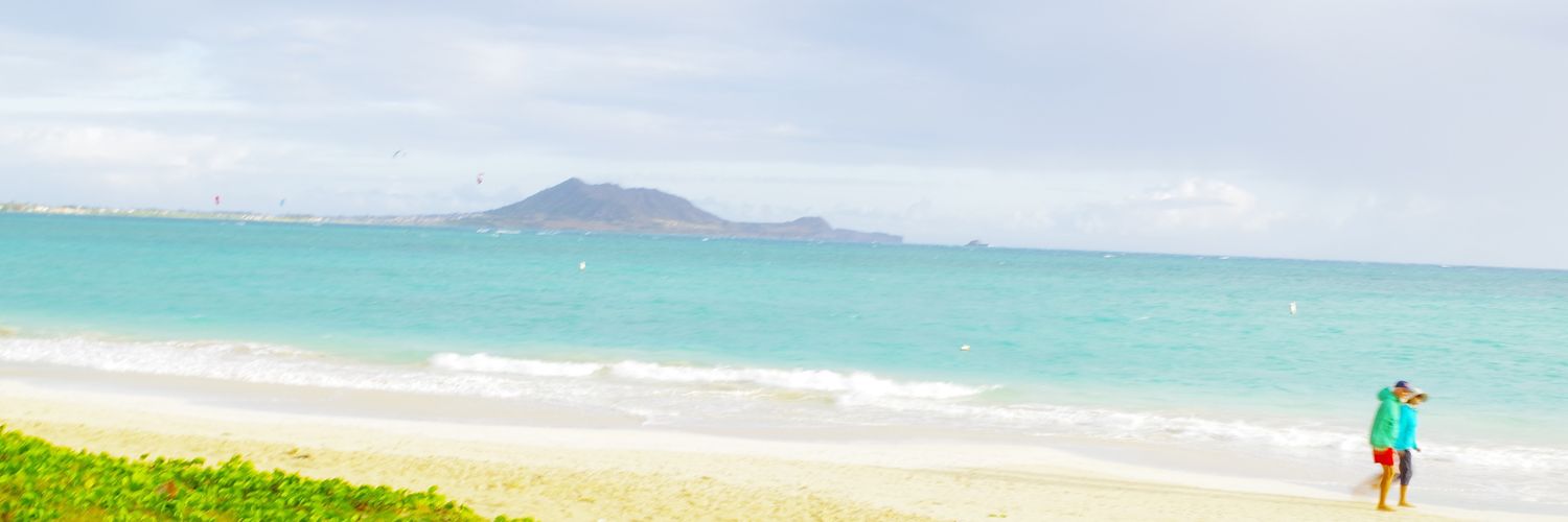 amiruamiru's profile banner image