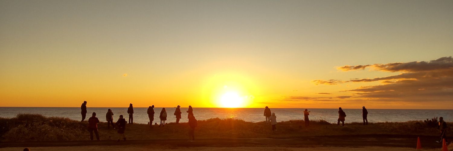 織葉🏝🐰 banner