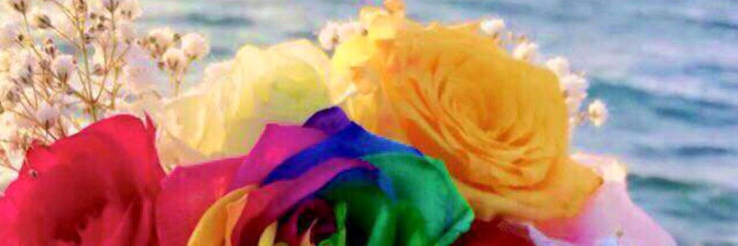 AJ51402's profile banner image