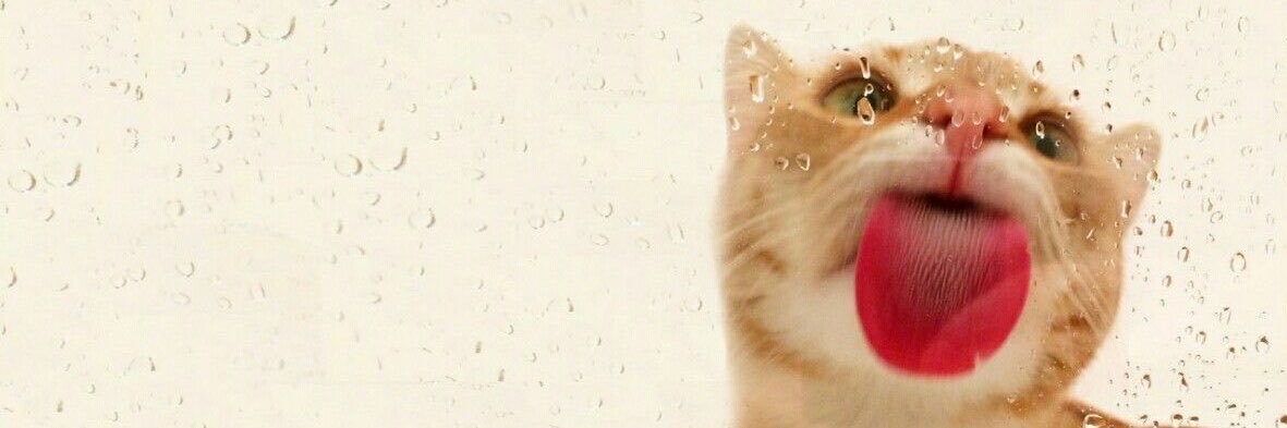 angiosvana's profile banner image