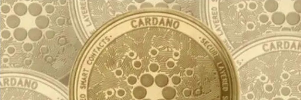 LiFrando's profile banner image