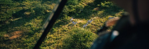 erinapindar Profile Banner