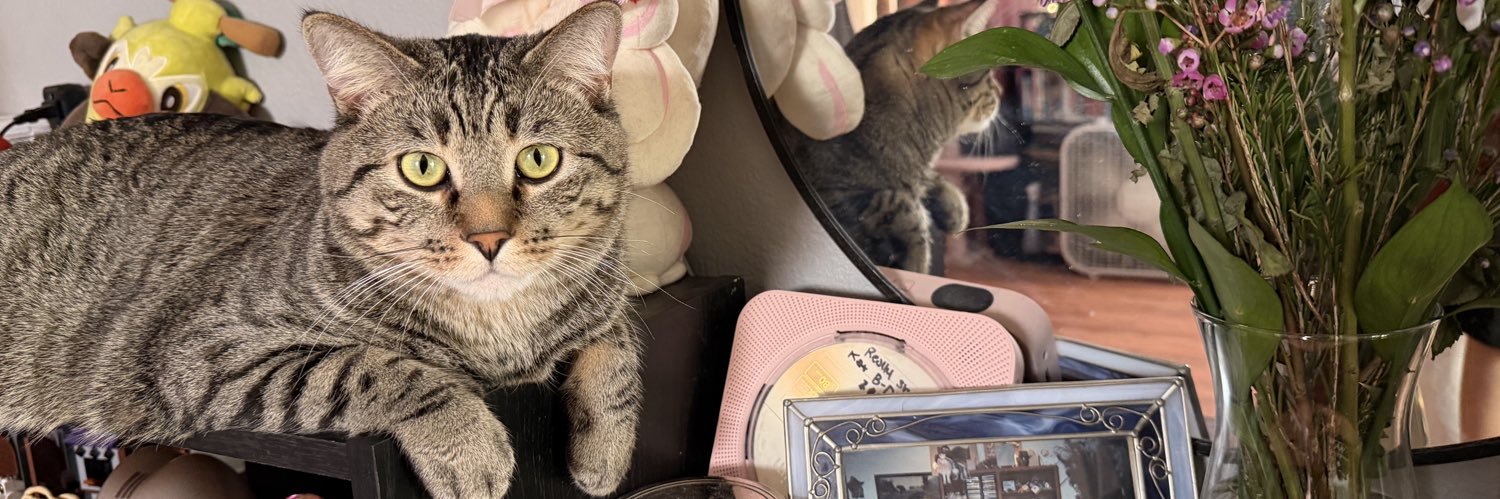 ✿nykole✿ banner
