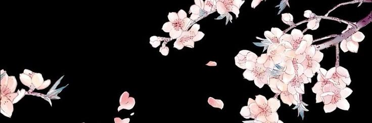 asterphoria's profile banner image