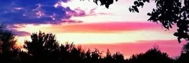 dhannaman's profile banner image