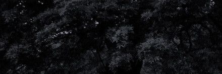 finalservice's profile banner image