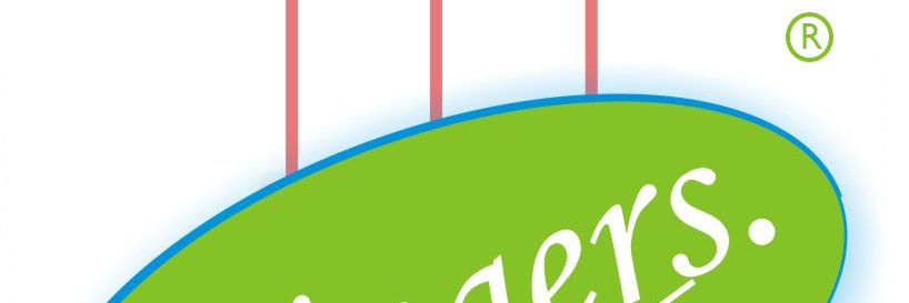 BRINGERS STORE LIMITED banner