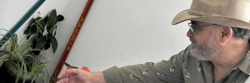 eduestrada's profile banner image