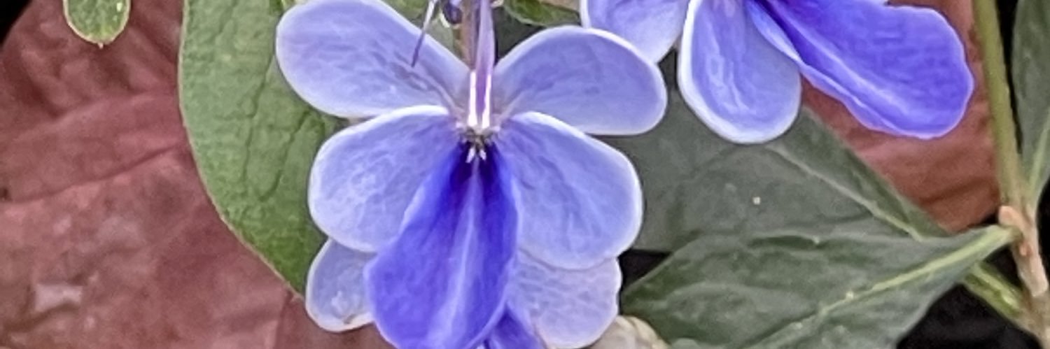 sherry_peters's profile banner image