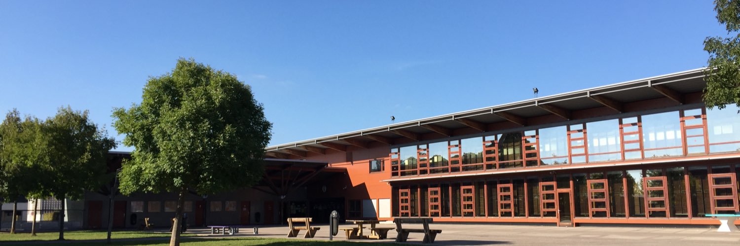 Cyril Scarcelli banner