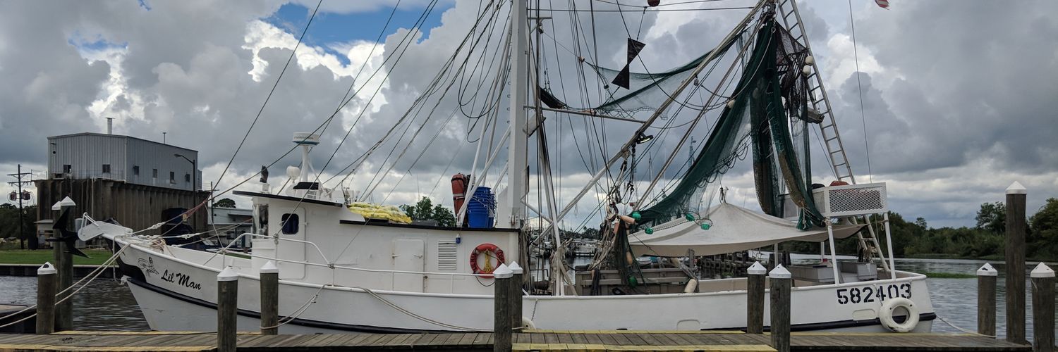 Daniel Phillips banner