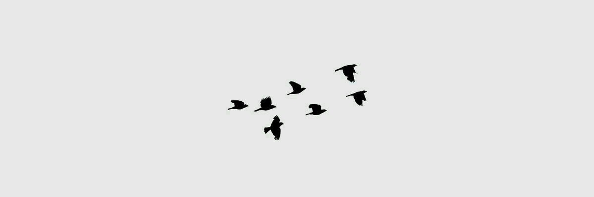 L__M__20's profile banner image