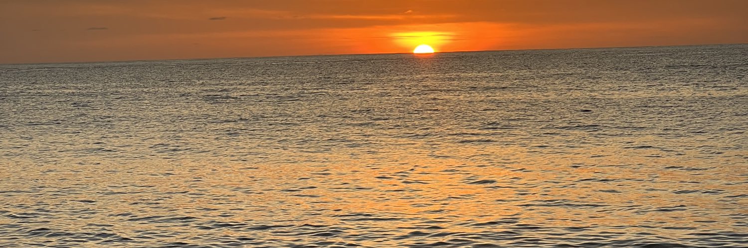 alvd_tmc's profile banner image