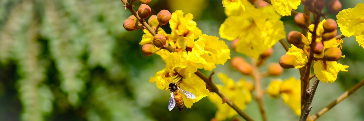 arunkumarhv's profile banner image