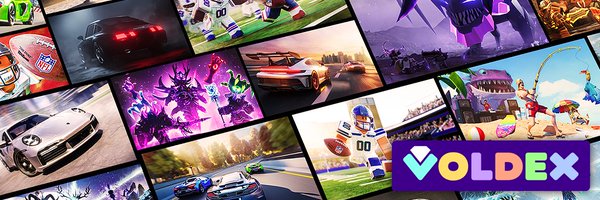 VoldexGames Profile Banner