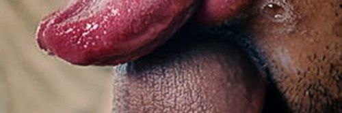 Show17901567's profile banner image
