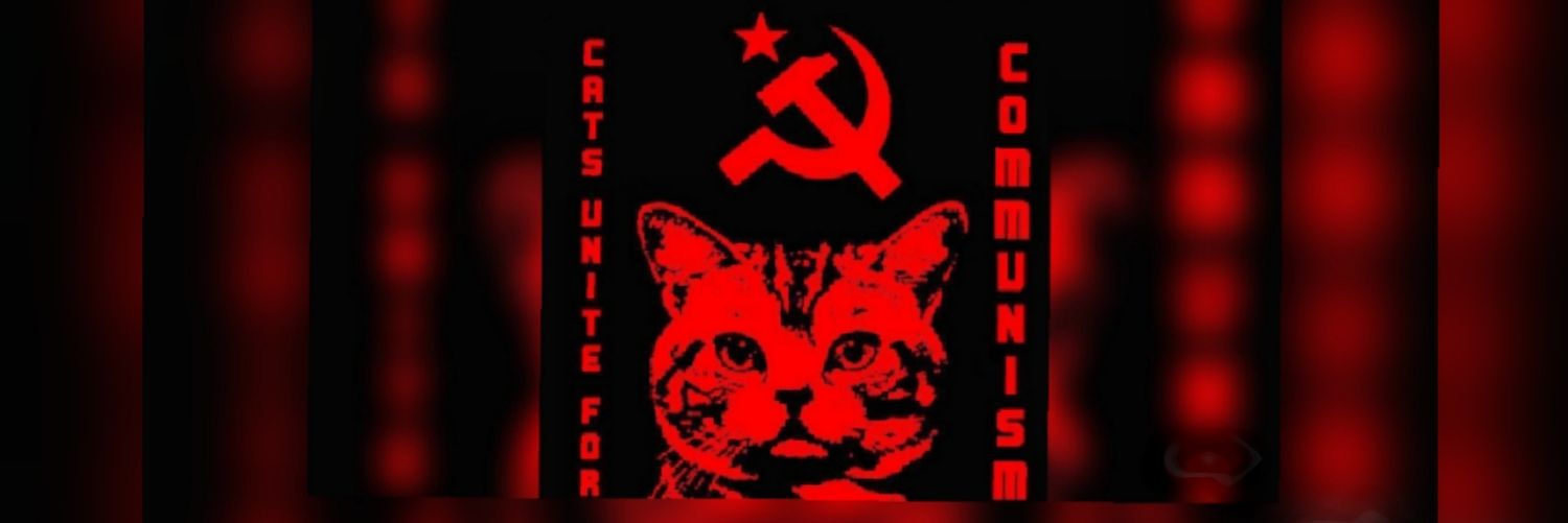 AhhMauri's profile banner image